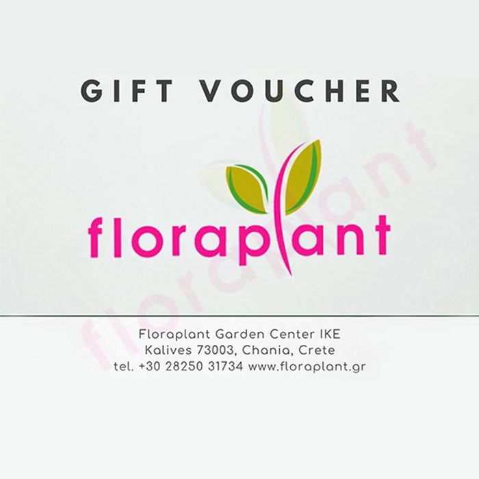 giftcard floraplant