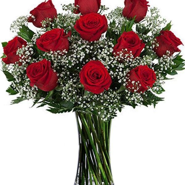 graf218 600555 send 11 eleven red roses d