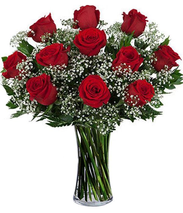 graf218 600555 send 11 eleven red roses d