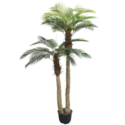 ΔΕΝΤΡΟ ΦΟΙΝΙΚΑΣ ΑΡΕΚΑ x2 REAL TOUCH ΣΕ ΓΛΑΣΤΡΑ - Υ250cm 2/ΚΙΒ