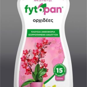 fytoplan gia prxidees
