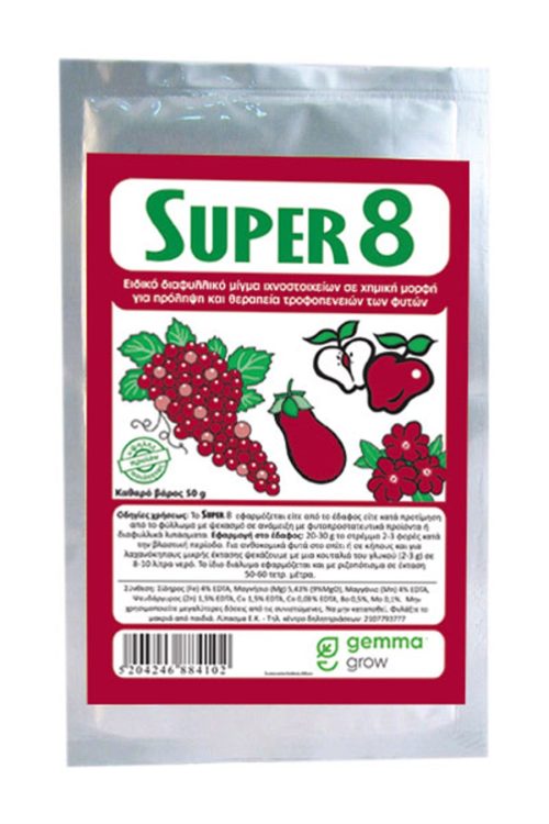 super 8 migma