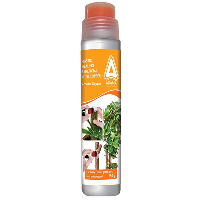 Arbokol mastic 250g