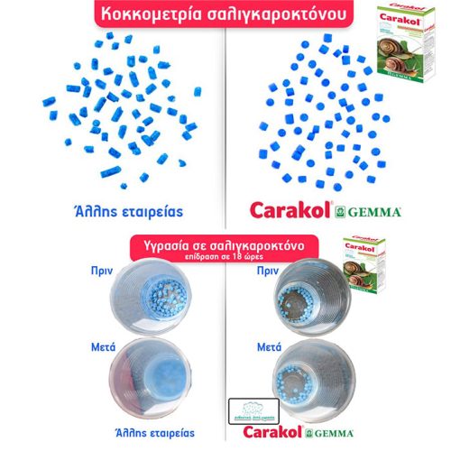 Carakol