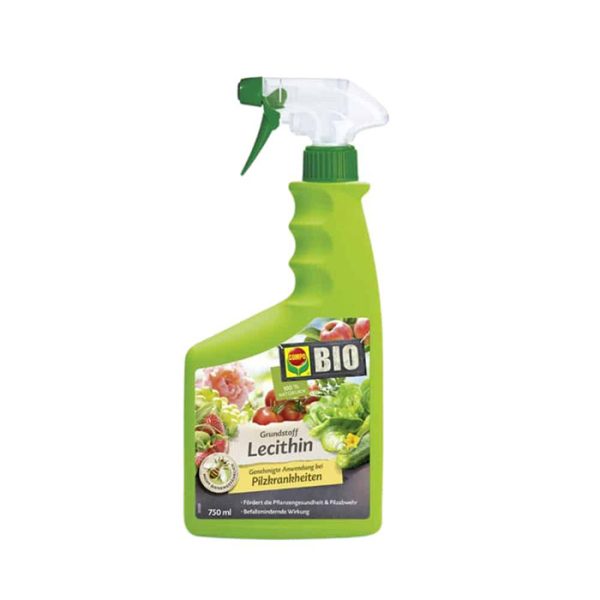 Lecithin compo