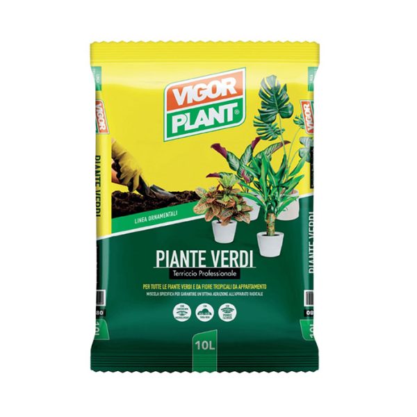 Piante verdi