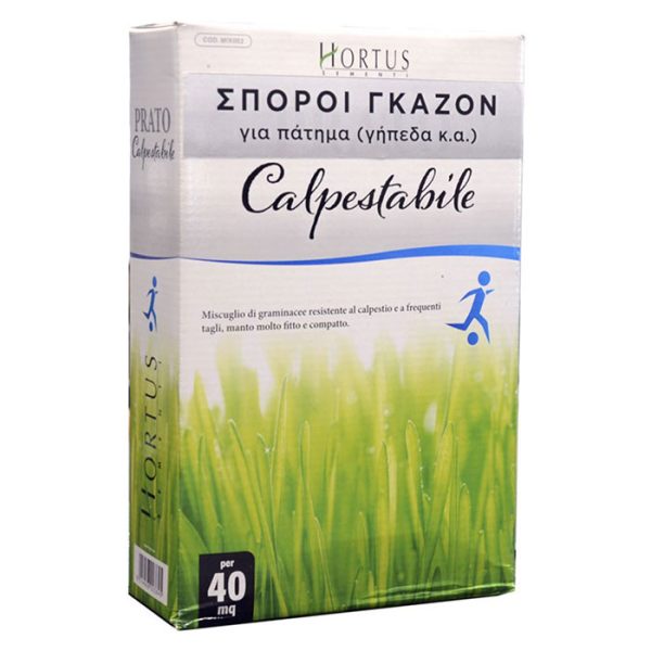 Sporoi gazon gipedo