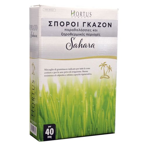 Sporoi gazon sahara