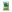 Theiikos sidiros