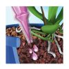 lipasma orhidea ampoula compo d