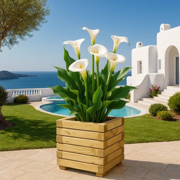 Ξύλινη Γλάστρα Τετράγωνη 30 x 30 εκ. – 28εκ. Ύψος