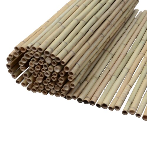 καλαμωτή-bamboo-tonkin-με-περαστό-σύρμα-14-20mm Καλαμωτή bamboo Tonkin με περαστό σύρμα 14-20mm