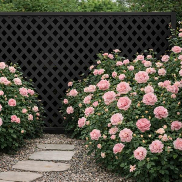 Καφασωτό Συνθετικό Privacy Diamond 240 × 120 εκ. | Μαύρο