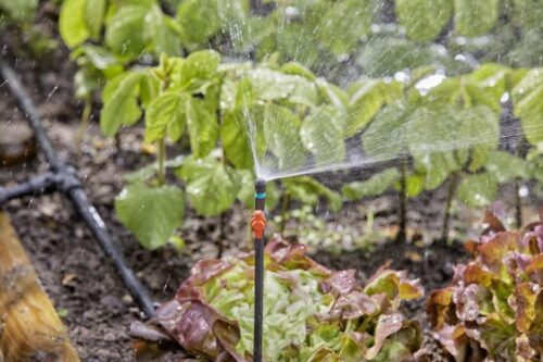 Σωλήνας Προέκτασης Μπεκ Gardena Micro-drip