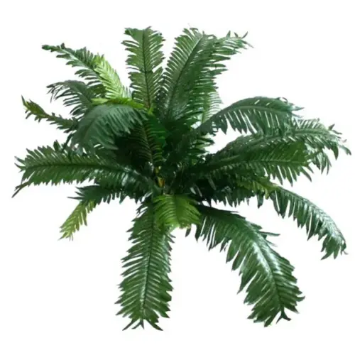 Ριζα τσικα 50xy40cm. 12/60kib