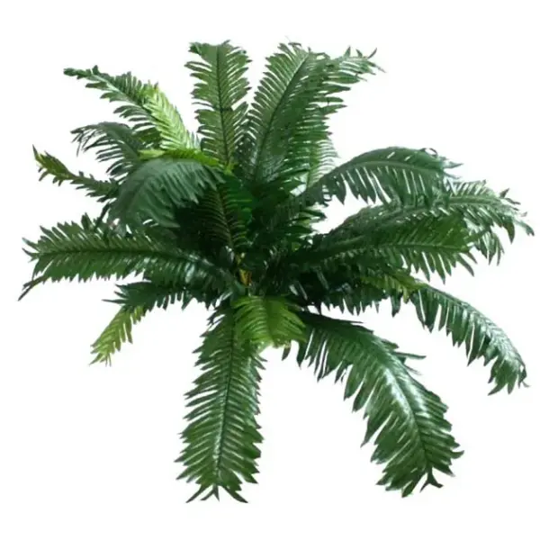 Ριζα τσικα 50xy40cm. 12/60kib