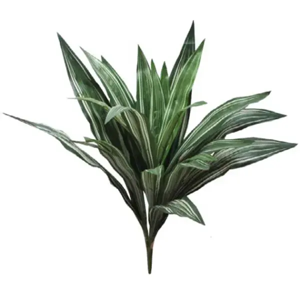 Φυλλο ριζα υ30cm. 32/216κιβ