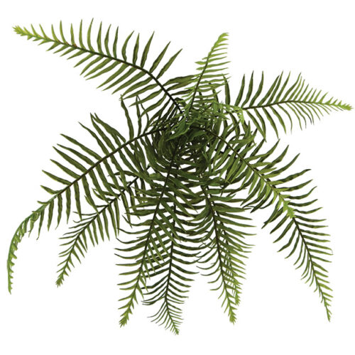 Ριζα κρεμαστη φτερη φ60xy35cm 48/288kib