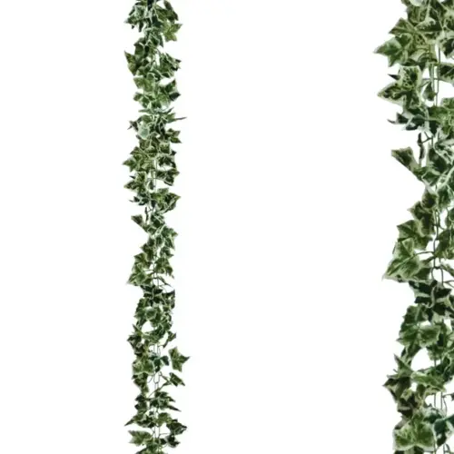 Γιρλαντα κισσοσ διχρωμοσ αλυσιδα υ270cm 1/96κιβ