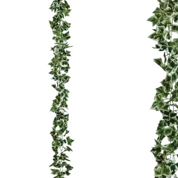 Γιρλαντα κισσοσ διχρωμοσ αλυσιδα υ270cm 1/96κιβ