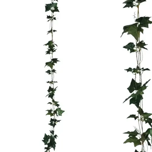 Γιρλαντα κισσοσ πρασινο x3 - υ270cm 1/132κιβ