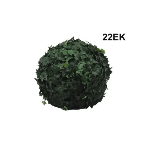 Μπαλα πυξαρι κισσοσ - φ22cm 6/24κιβ