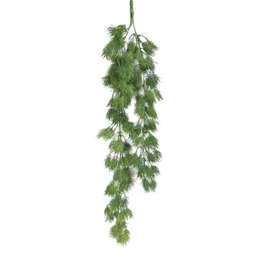 Ριζα κρεμαστη κερατοφυλλο πρασιναδα - υ75cm 3/36κιβ