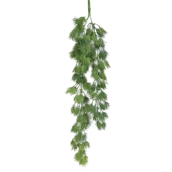 Ριζα κρεμαστη κερατοφυλλο πρασιναδα - υ75cm 3/36κιβ