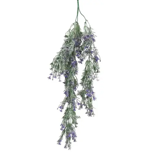 Ριζα κρεμαστη μωβ λεβαντα πρασιναδα - υ80cm 3/48κιβ
