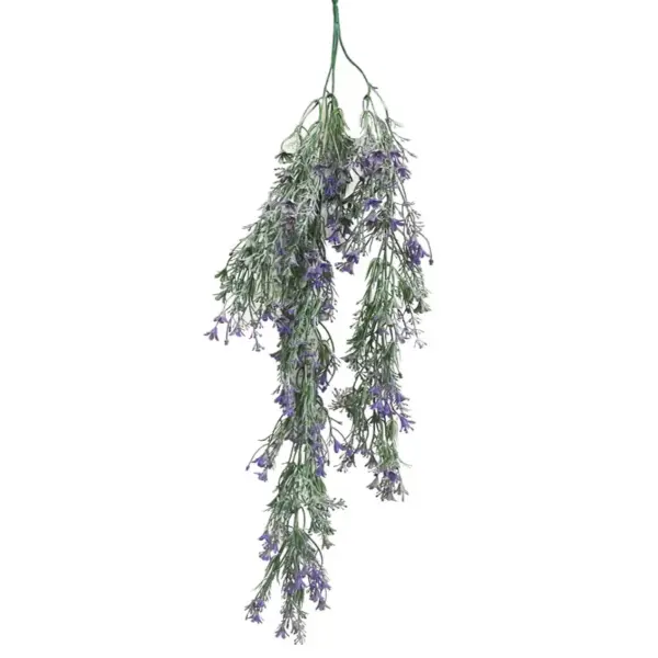 Ριζα κρεμαστη μωβ λεβαντα πρασιναδα - υ80cm 3/48κιβ