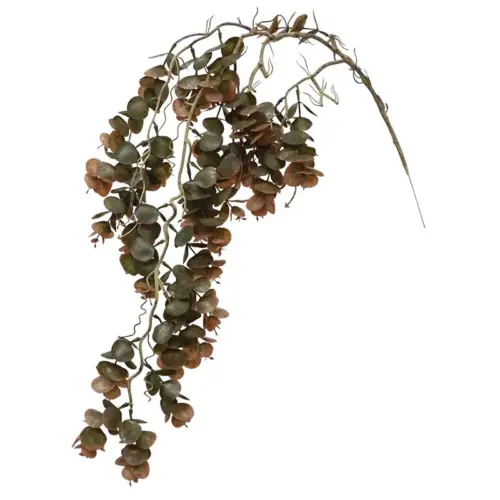 Ριζα κρεμαστη βιγονια καφε - υ87cm 24/144κιβ