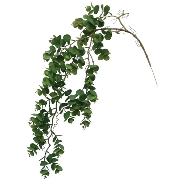 Ριζα κρεμαστη βιγονια πρασινο - υ87cm 24/144κιβ