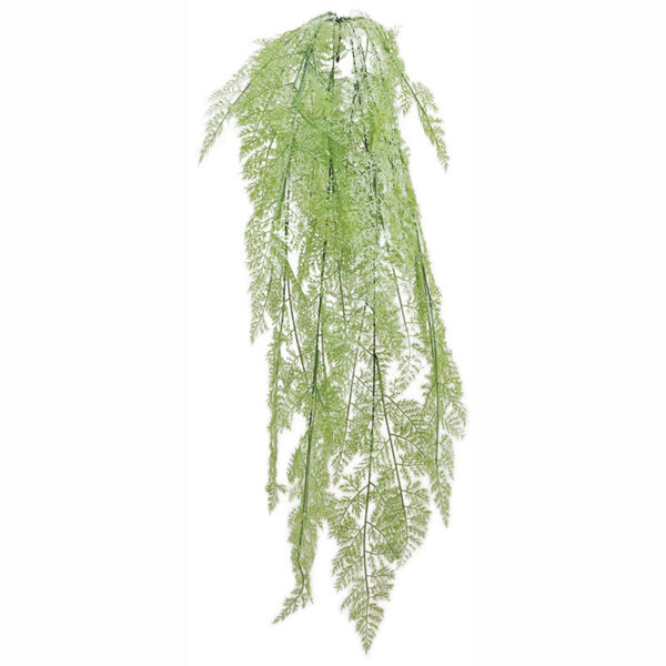 Ριζα κρεμαστη φτερη λαχανι - υ130cm 40/160κιβ