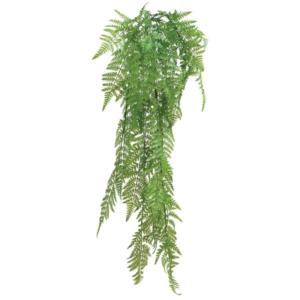 Ριζα κρεμαστη φτερη πρασινο - υ120cm 30/120κιβ