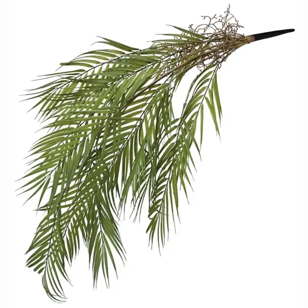 Ριζα κρεμαστη κεντια πρασινο - υ94cm 36/144κιβ