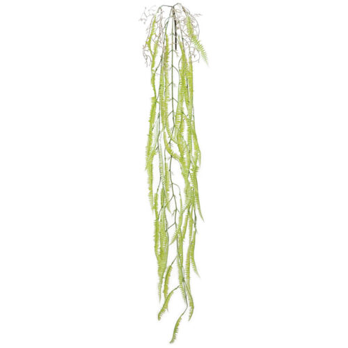 Ριζα κρεμαστη φτερη λαχανι - υ136cm 36/144κιβ