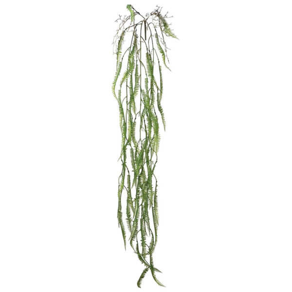 Ριζα κρεμαστη φτερη πρασινο - υ136cm 36/144κιβ