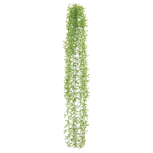 Ριζα κρεμαστη ιτια λαχανι - υ110cm 36/180κιβ