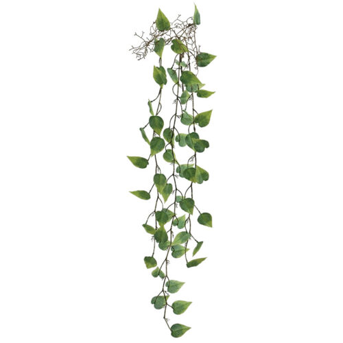 00-70031-1 Ριζα κρεμαστη μονστερα πρασινο - υ125cm 36/144κιβ