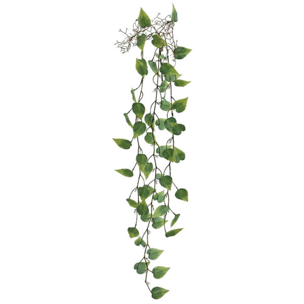Ριζα κρεμαστη μονστερα πρασινο - υ125cm 36/144κιβ