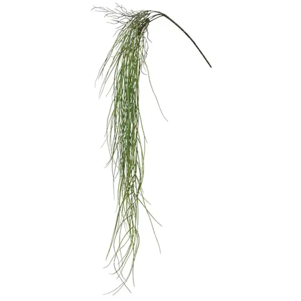 Ριζα κρεμαστη γκρασσ πρασινο - υ134cm 48/192κιβ