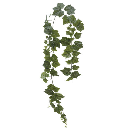 Κρεμαστοσ κισσοσ πρασινο - 195cm 48/κιβ