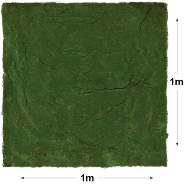 Μοκετα βρυα πρασινο πλακακι - 100x100cm 24/κιβ