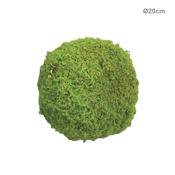 Μπαλα πυξαρι βρυασ πρασινη μικρη - φ20cm 8/kib