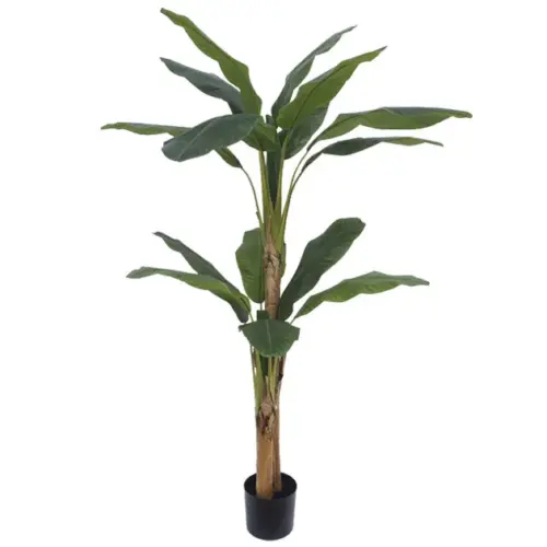 Δεντρο μπανανια διπλη real touch σε γλαστρα - υ190cm 2/κιβ
