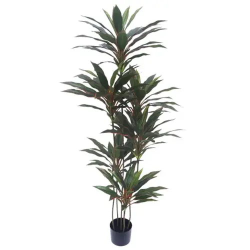 Δεντρο δρακαινα κοκκινη real touch σε γλαστρα - υ150cm 4/κιβ