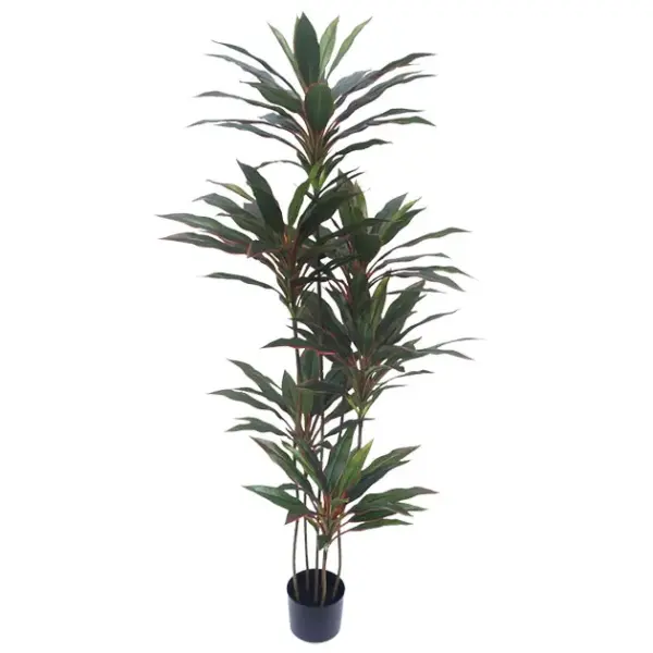 Δεντρο δρακαινα κοκκινη real touch σε γλαστρα - υ150cm 4/κιβ