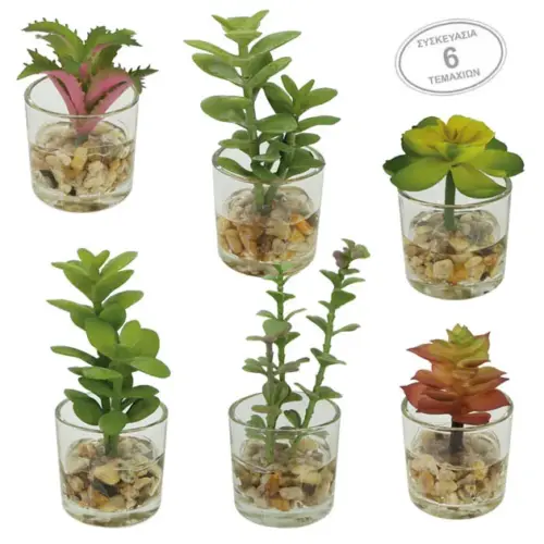 Mini κακτακια mix σε γυαλινο κασπω σετ/6 - 5x12cm 6/16κιβ