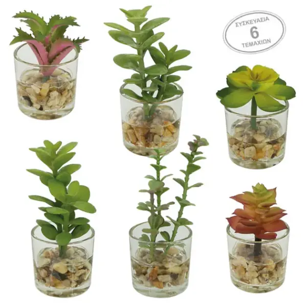 Mini κακτακια mix σε γυαλινο κασπω σετ/6 - 5x12cm 6/16κιβ