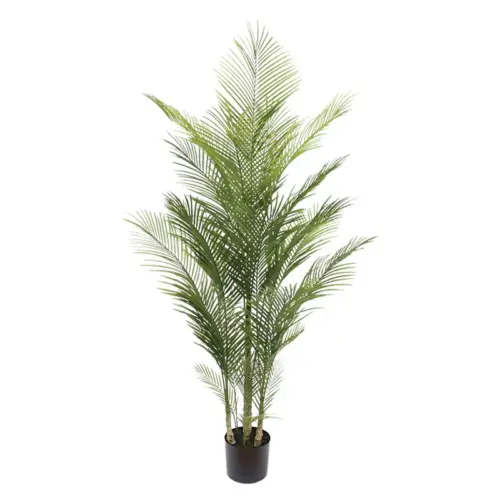 Δεντρο φοινικασ palm πρασινο σε γλαστρα - υ175cm 2/kib